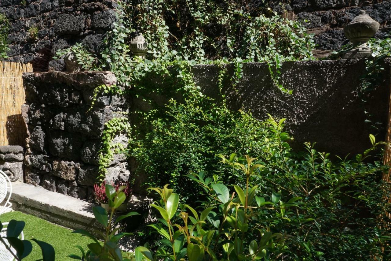 Casa Gise Lejlighed Aci Castello Eksteriør billede